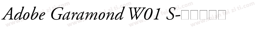 Adobe Garamond W01 S字体转换